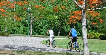 Bicycling in the Park