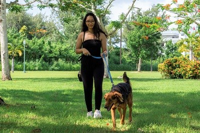 Walking a Dog