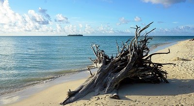 Micro Beach