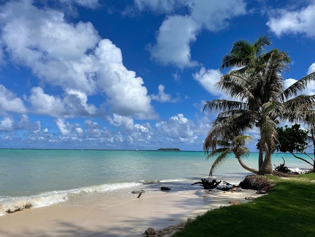 Image of Micro Beach on a sunny day.