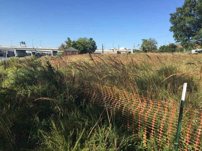 An orange snow fence recedes into tall grass and weeds in an empty lot with the 11th Street Bridge in the background.