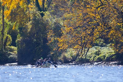 A canoe is being paddled on the Anacostia River with trees in the background
