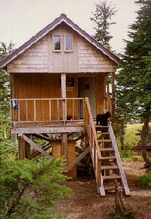 US Forest Service public use cabin on a raised platform with a black dog at the top of the stairs