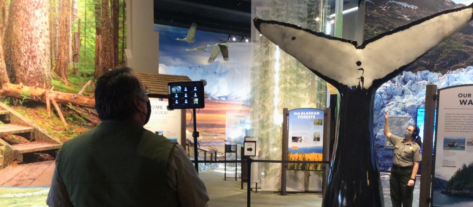 Ranger videotaping another ranger who is pointing at a whale tale in an exhibit hall