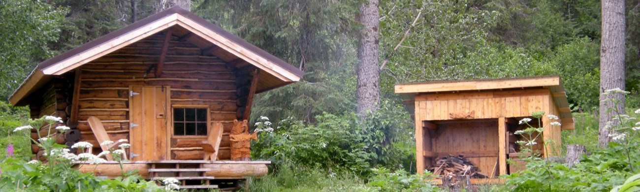 Log cabin on left in lush green forest with wood shed on right.