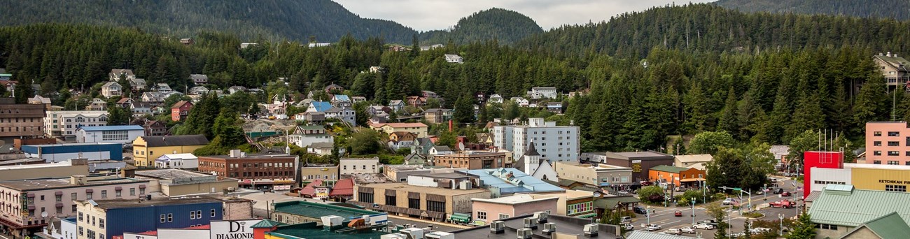 Birdseye view of small town with green mountains behind.