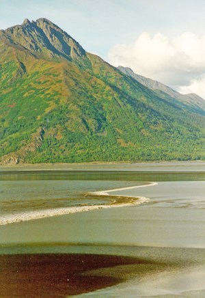 A Bore tide  a serpentine shaped wave meanders across the water with a green mountain in the background.