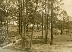 Forested area with a winding path leading to a stone springhouse.