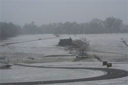 Snow blankets a hillside