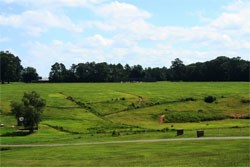 A green hillside with few trees