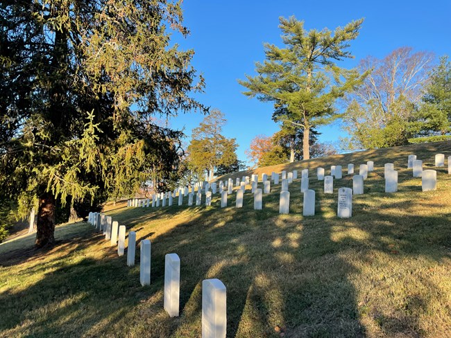 Andrew Johnson National Cemetery view of headstones and large trees