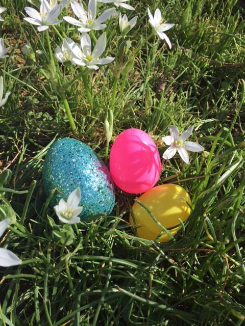 Egg Roll image Colored eggs in the grass near wildflowers