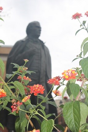 Andrew Johnson statue behind fall flowers