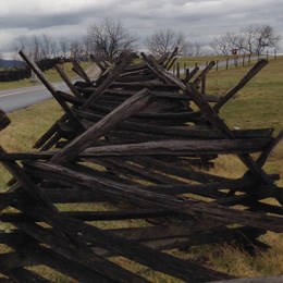 Fences