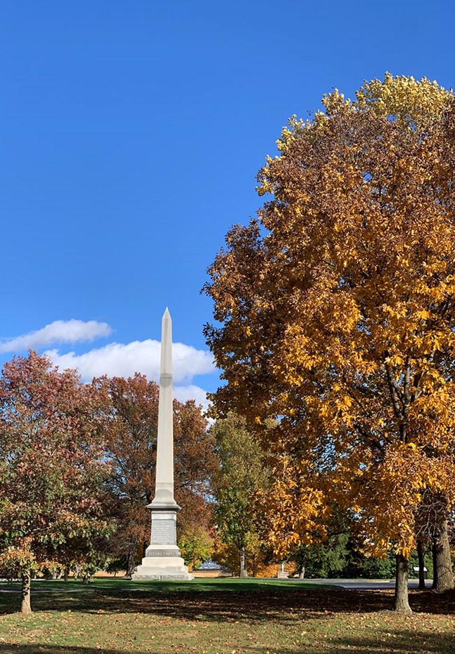 tall oblisk with trees surrounding