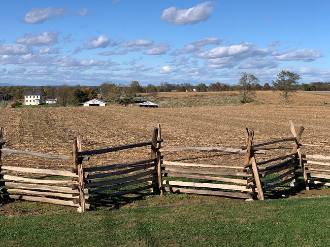 fence bordering a field with white farm buildings in the background