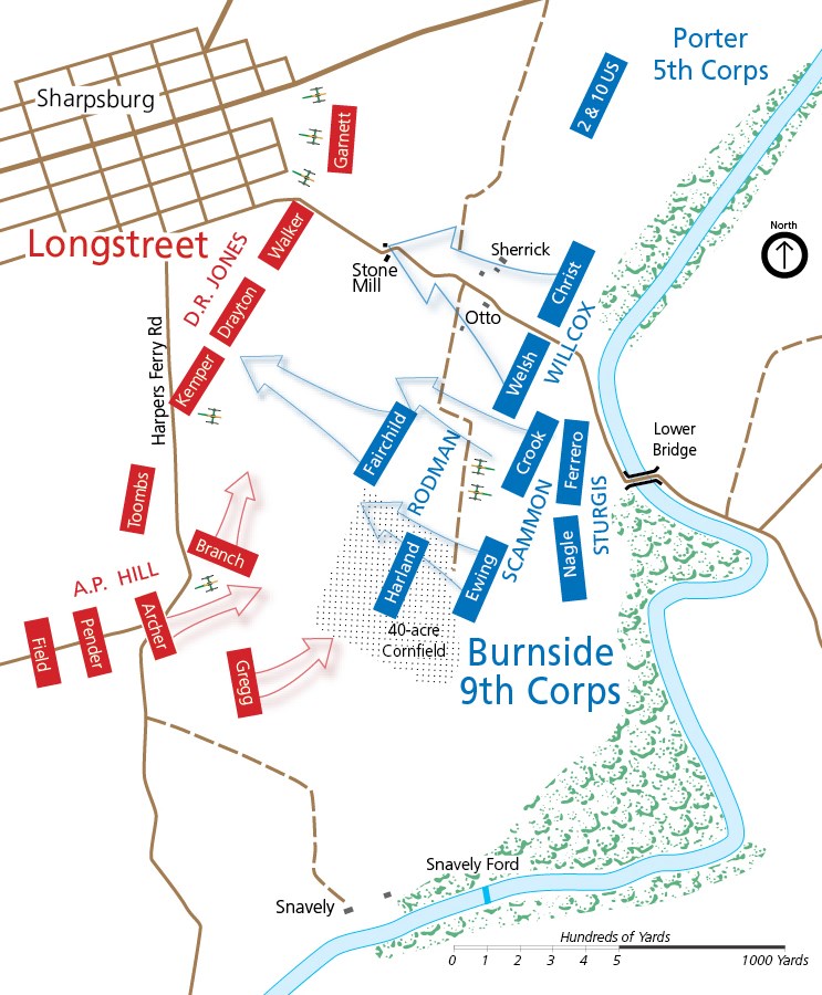 battle map