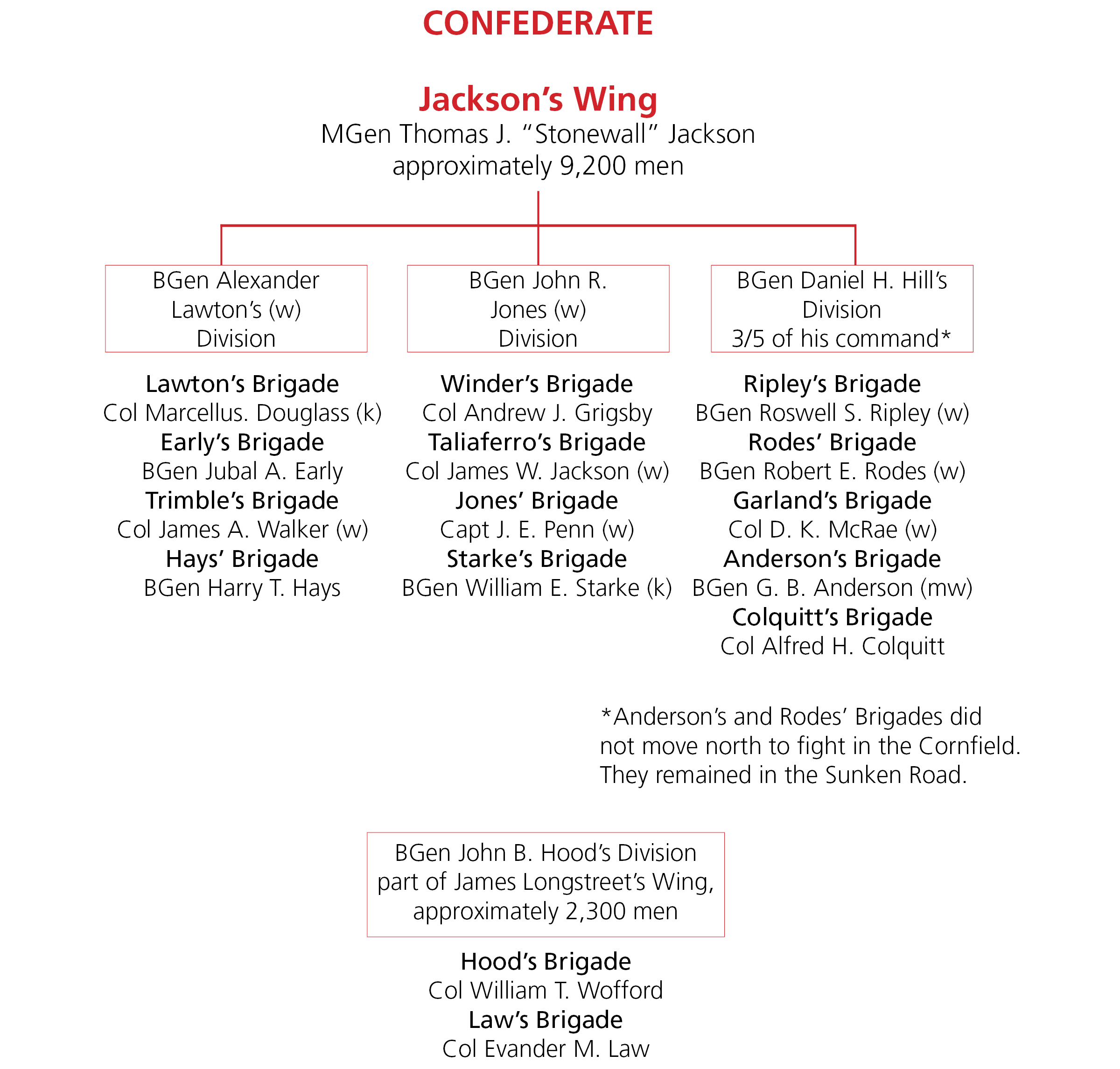 Table of Organization-CS