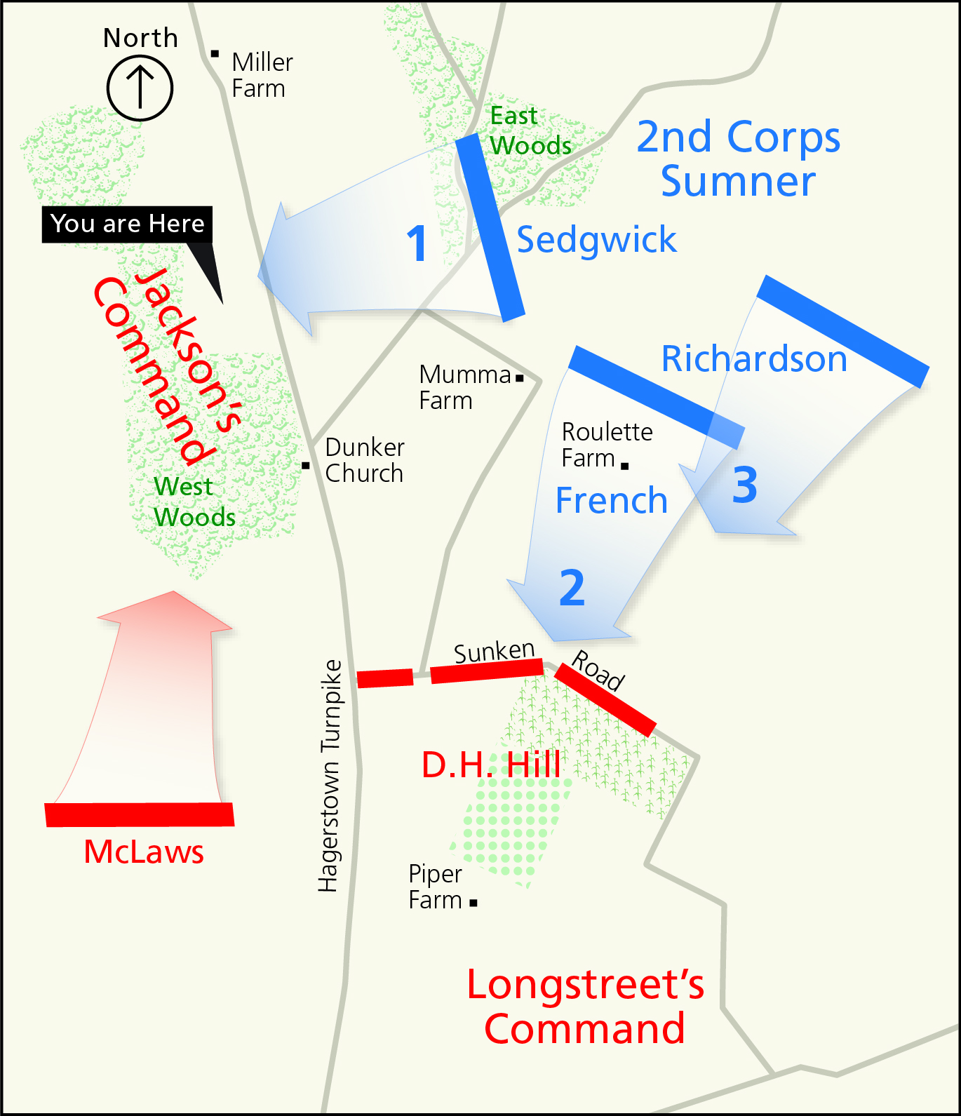 Map of the fighting in the West Woods at Antietam