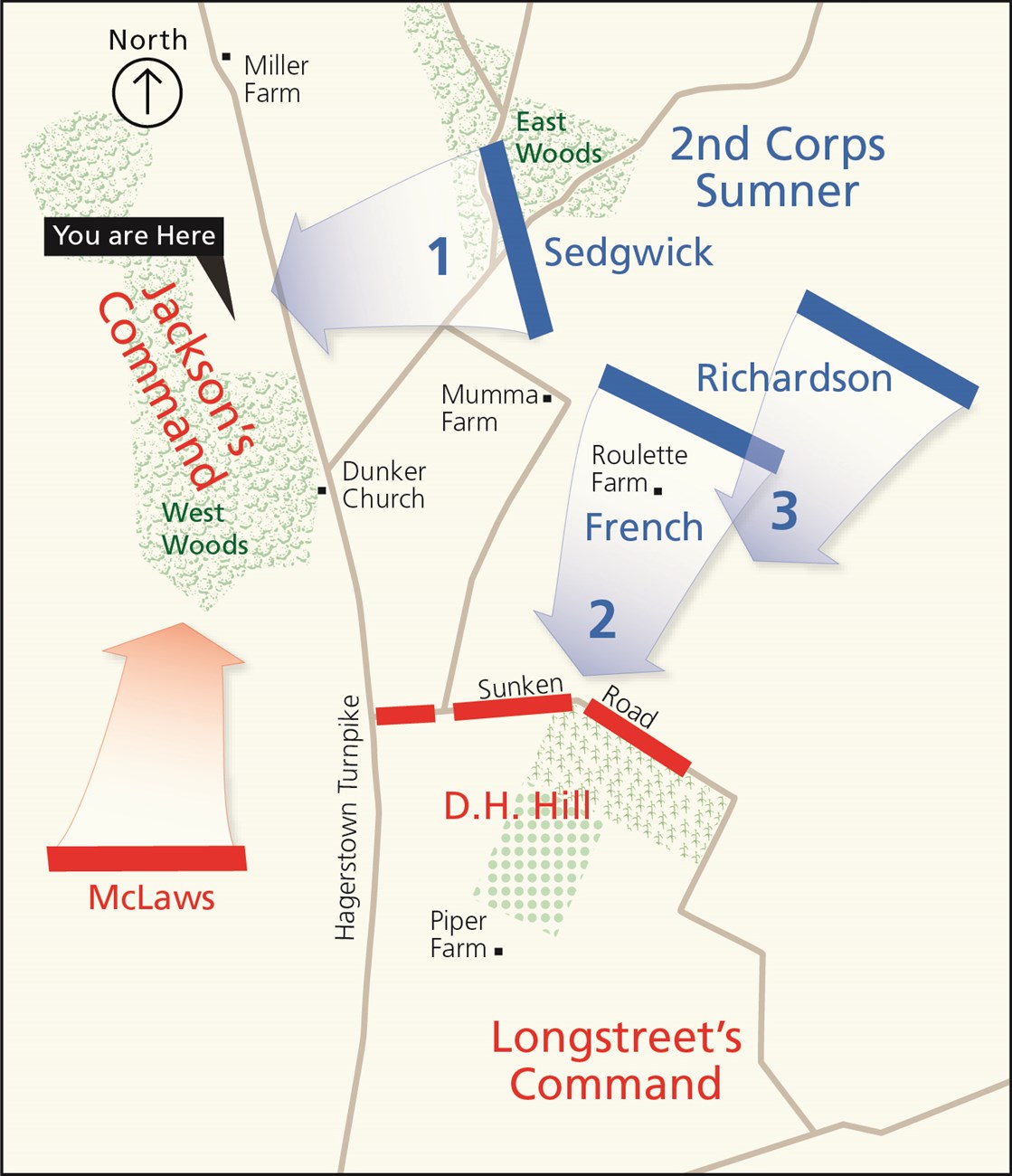 Map of the fighting in the West Woods at Antietam