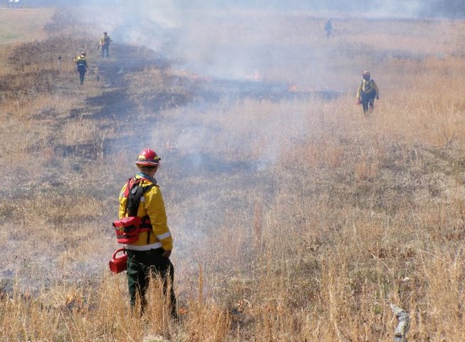 Prescribed Burn A firefighter in bright yellow holds a torch while standing in a field of dry, yellow grass with smoke and lines of burned grasses.