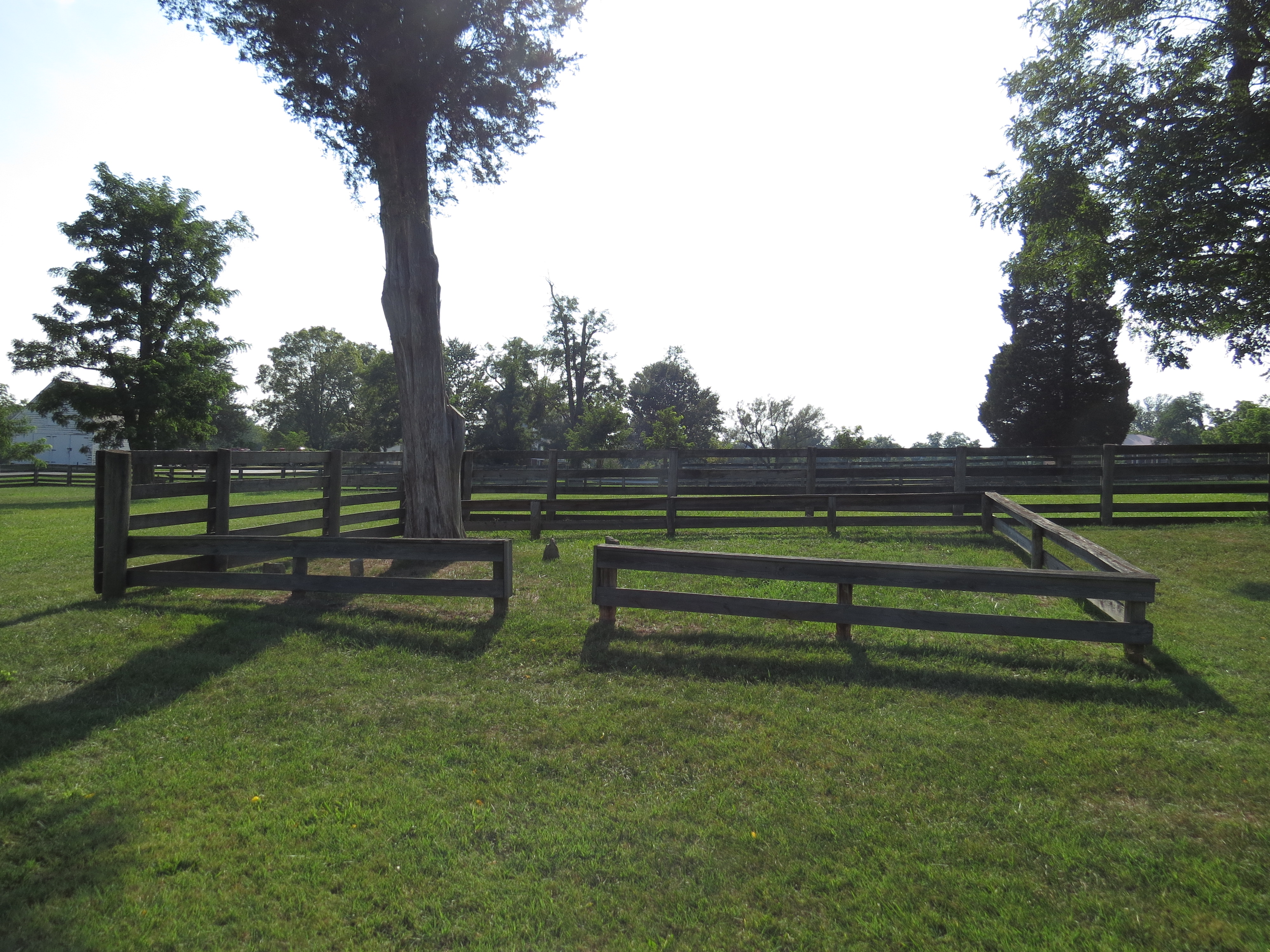 A small fenced-in square of grass with one tree and several small field stones placed upright in the green grass.