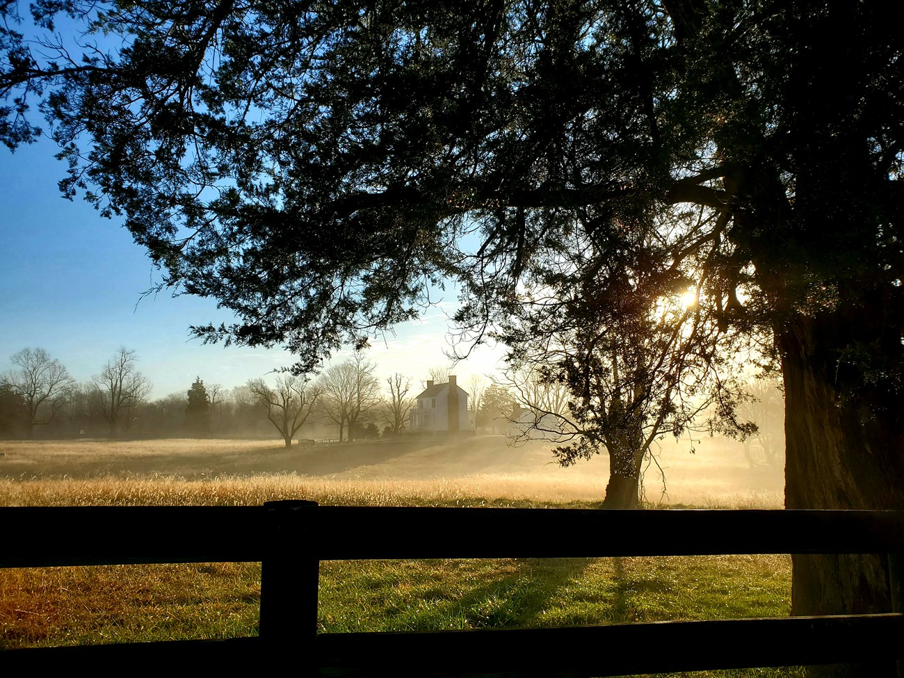 Foggy scene with fence and sun peeking through tree in foreground. White two story house just visible behind.