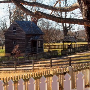 Unstained, dark, wood-frame and wood-panel one and half story home with small covered stoop, framed by tree trunk and branches to the right and a white picket fence at the bottom