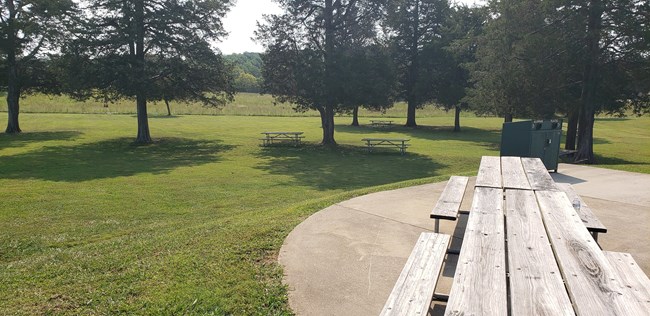 Picnic tables in a shaded area near the main entrance to the park