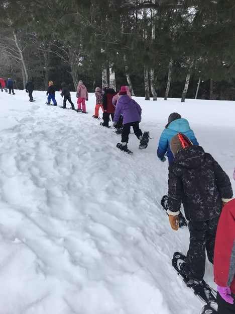 A line of thirteen children in bright colored winter clothes walk along a path in a stand of white pine and birch trees.