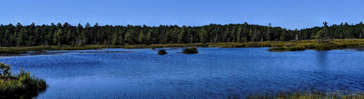 A blue lagoon surrounded by low grasses with tall trees in the background.