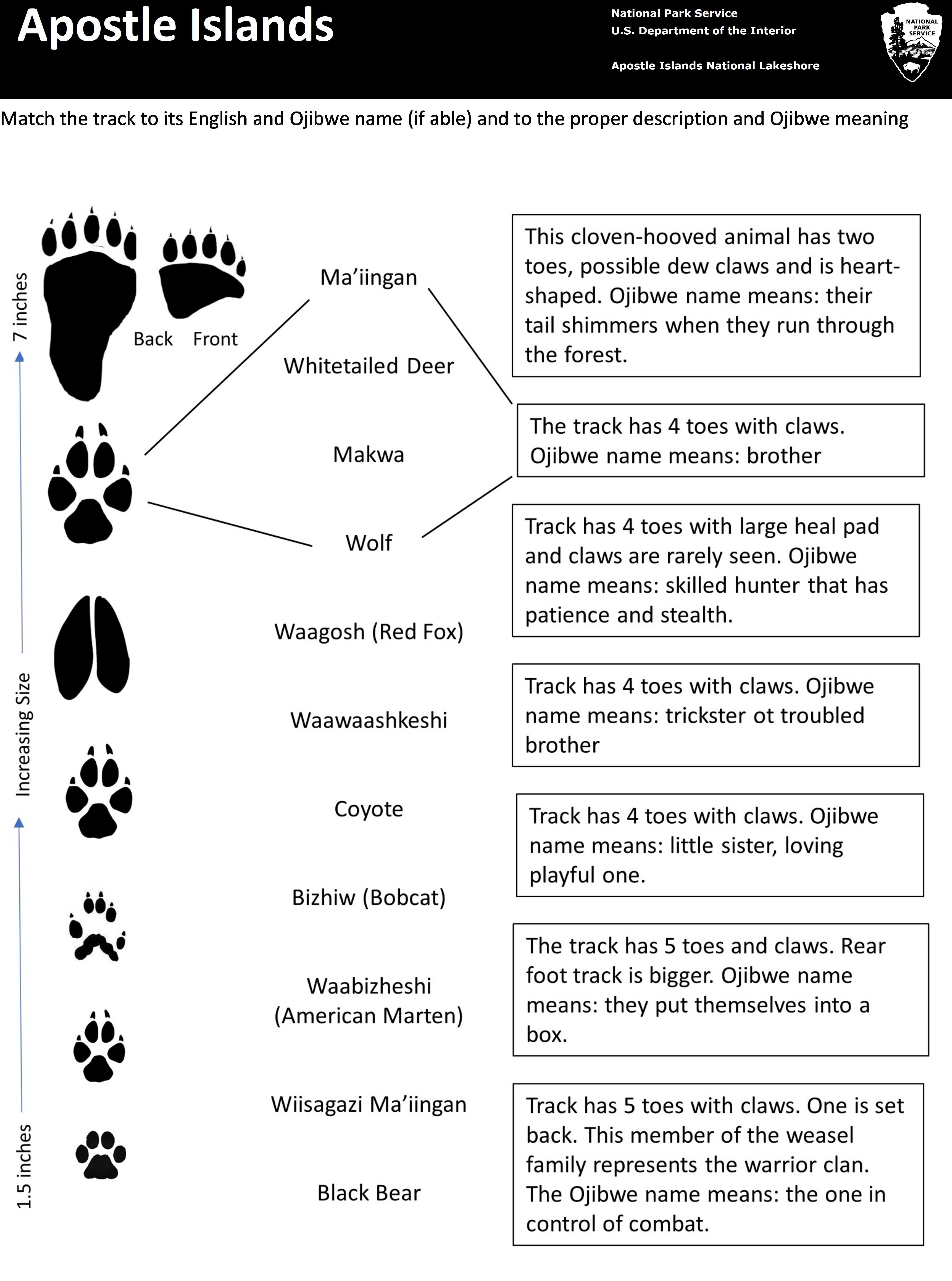 Animal Track Matching (U.S. National Park Service)