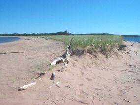 Outer Island Sandspit Outer Island Sandspit
