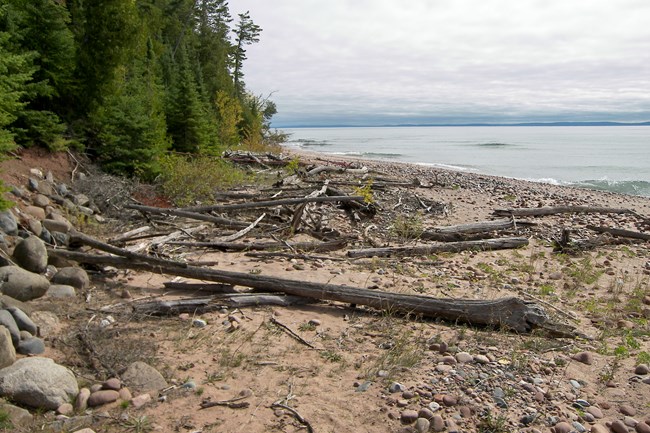 A sandy shoreline covered in rocks and driftwood.