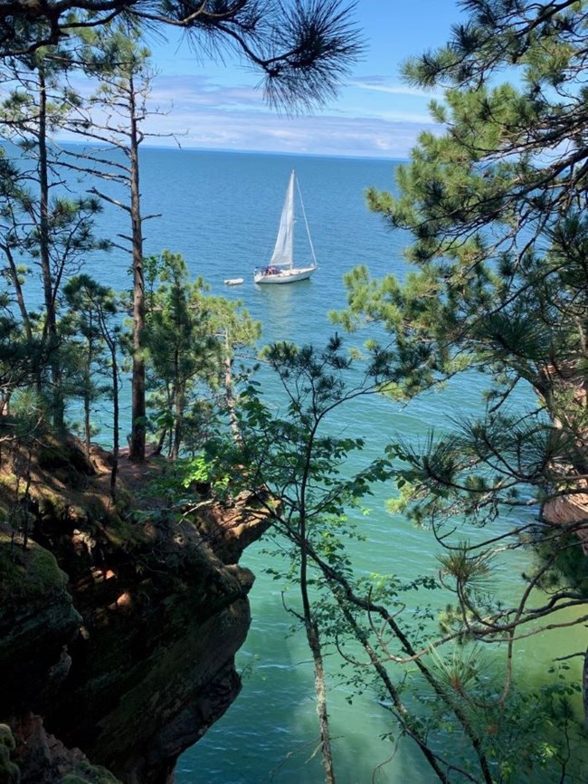 A white sailboat cruises by a rocky shoreline with pine trees.