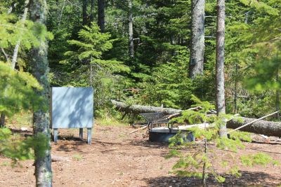 Forested camping area.