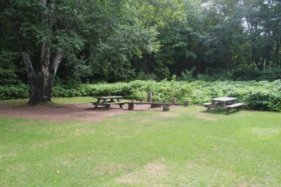 Open grassy camp area surrounded by trees.