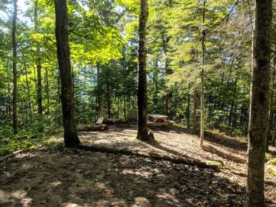 Forested camping area.