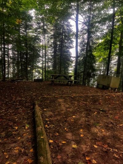Forested camping area.