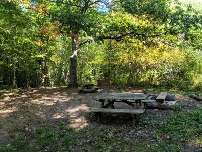 Forested camping area.