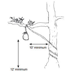 A drawing of a bag of food tied up in a tree at least 12 feet high and 10 feet away from the trunk.