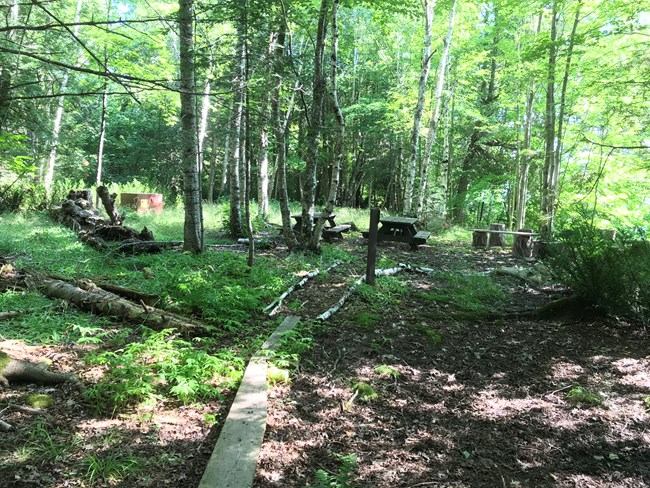 A forested campsite with two picnic tables, a metal fire ring, and bear proof box.