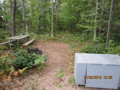 Forested camping area.