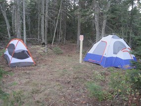 Outer Island Campsite #1 Outer Island Campsite #1