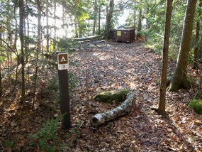Rocky Island Site #3