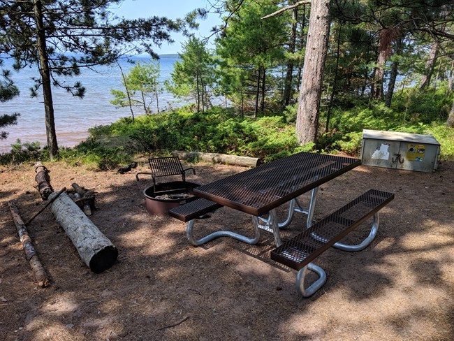 A forested campsite with a metal fire ring, picnic table, and bear proof box.