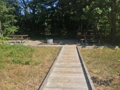 Forested camping area with wooden boardwalk.