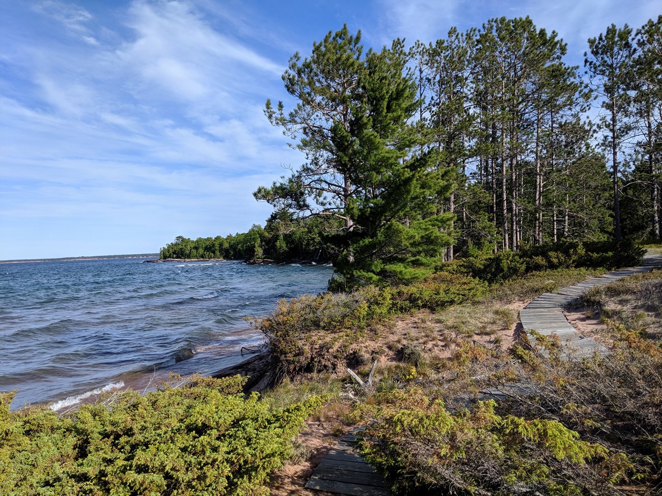 A boardwalk along a tree lined edge of a lake.