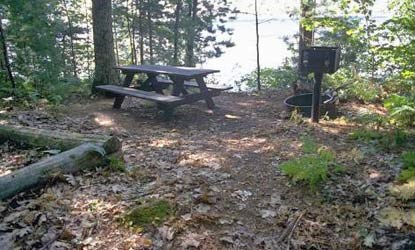 Basswood Site 2
