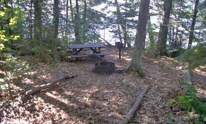 Basswood Site 3